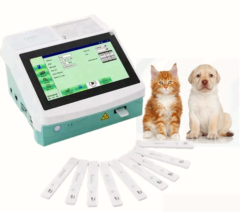 feline blood test 3.png